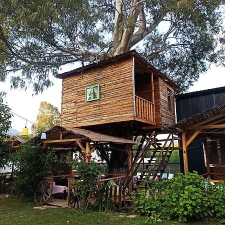 Daidala Life Bed and Breakfast Göcek Eksteriør billede