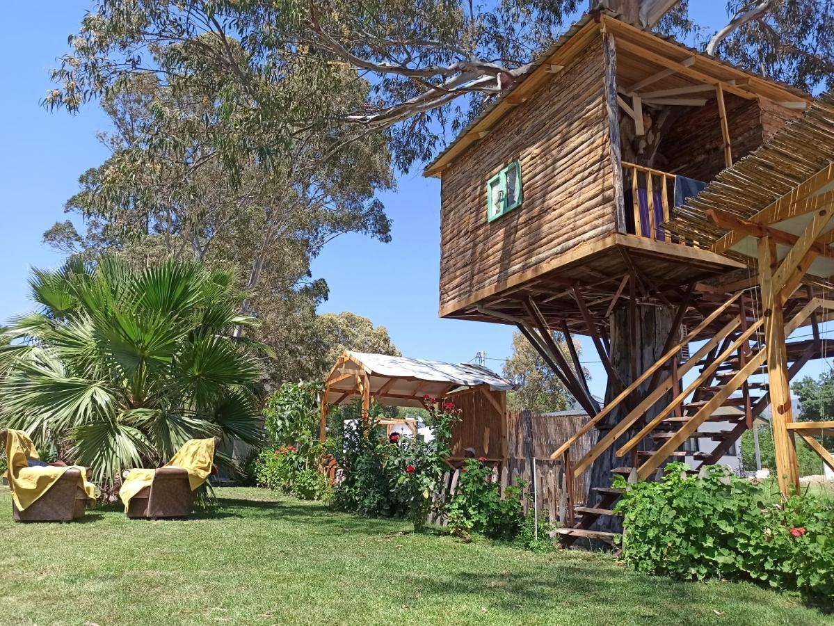 Daidala Life Bed and Breakfast Göcek Eksteriør billede